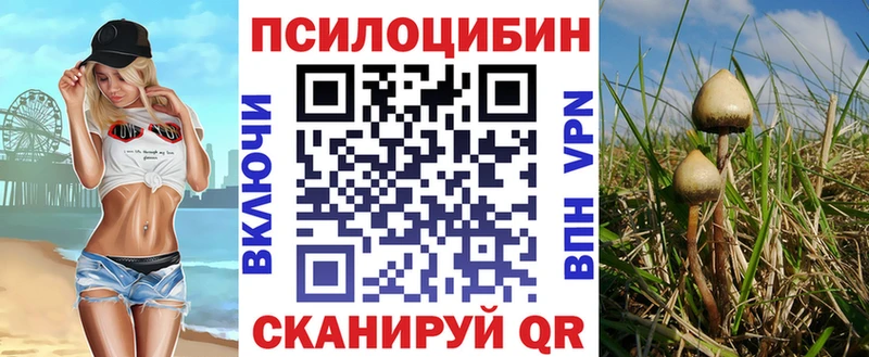 Галлюциногенные грибы MAGIC MUSHROOMS  Купить закладки  Власиха 